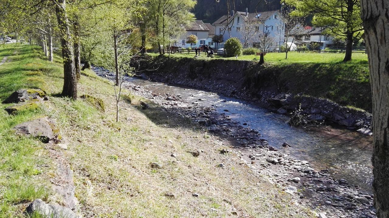 Ferienhaus Schils Flums エクステリア 写真